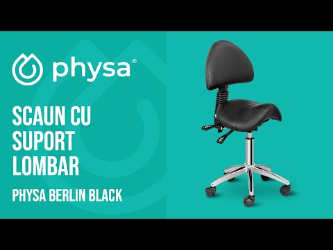 video - Scaun cu Suport Lombar - 550-690 mm - 150 kg - Black