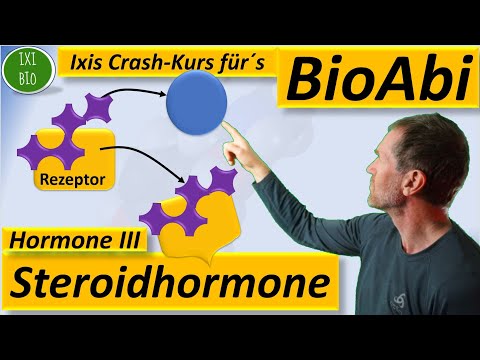 Hormones 3 Steroid hormones - Mode of action in detail Comparison of hydrophilic + hydrophobic ho...