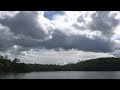 Loon song
