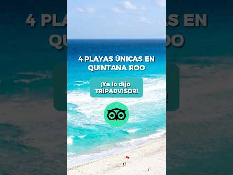 ¡Quintana Roo tiene las MEJORES Playas de México! 🇲🇽🏖️
