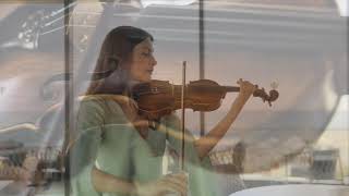 Violine Geige Ilona