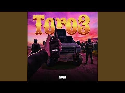 TORO 3