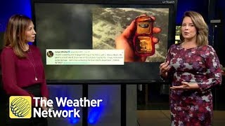 DISCUSSION: Storm hunter who found diamond ring in wreckage of Michael speaks