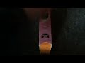 Little Bear A Kiss For Little Bear 2000 VHS Review