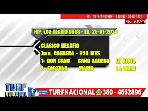 7 DON   CANO   FORTUNA   VIDEO