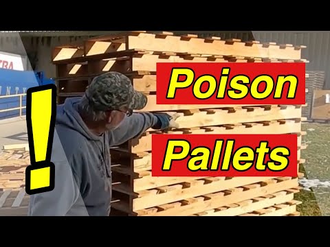 Pallet Wood Projects - Are Pallets Safe to use for Projects?