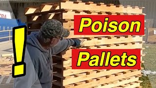 Pallet Wood Projects - Are Pallets Safe to use for Projects?