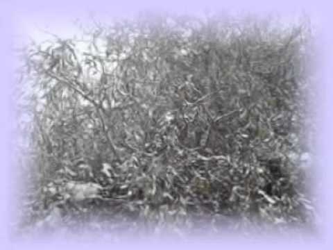 Malaika - Ljupka Dimitrovska in Ivica Šerfezi