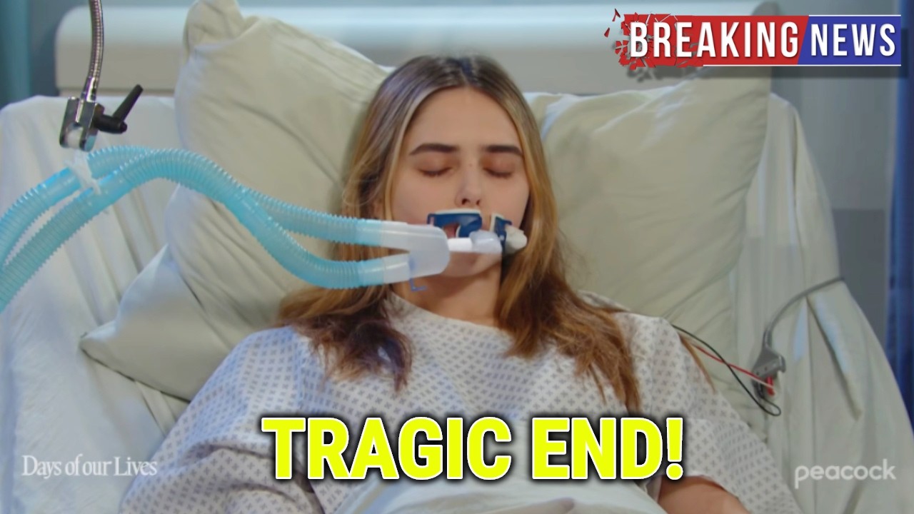 YouTube Thumbnail Downloader FULL HQ IMAGE