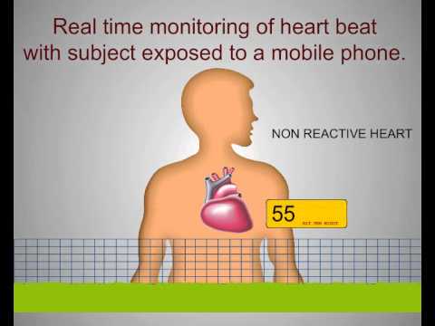 download lagu mp3 mp4 Heart Guard, download lagu Heart Guard gratis, unduh video klip Heart Guard