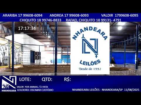 NHANDEARA LEILÕES  LEILÃO  - 11/08/2025 - NHANDEARA/SP