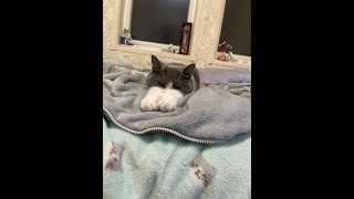 OW2　　これからについて