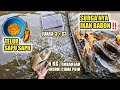 UMPAN TELUR SAPU SAPU DI SURGANYA IKAN BABON ️ 6 KG MURNI CUMA JADI POIN ️ JUARA INDUK 3 JAM KE 