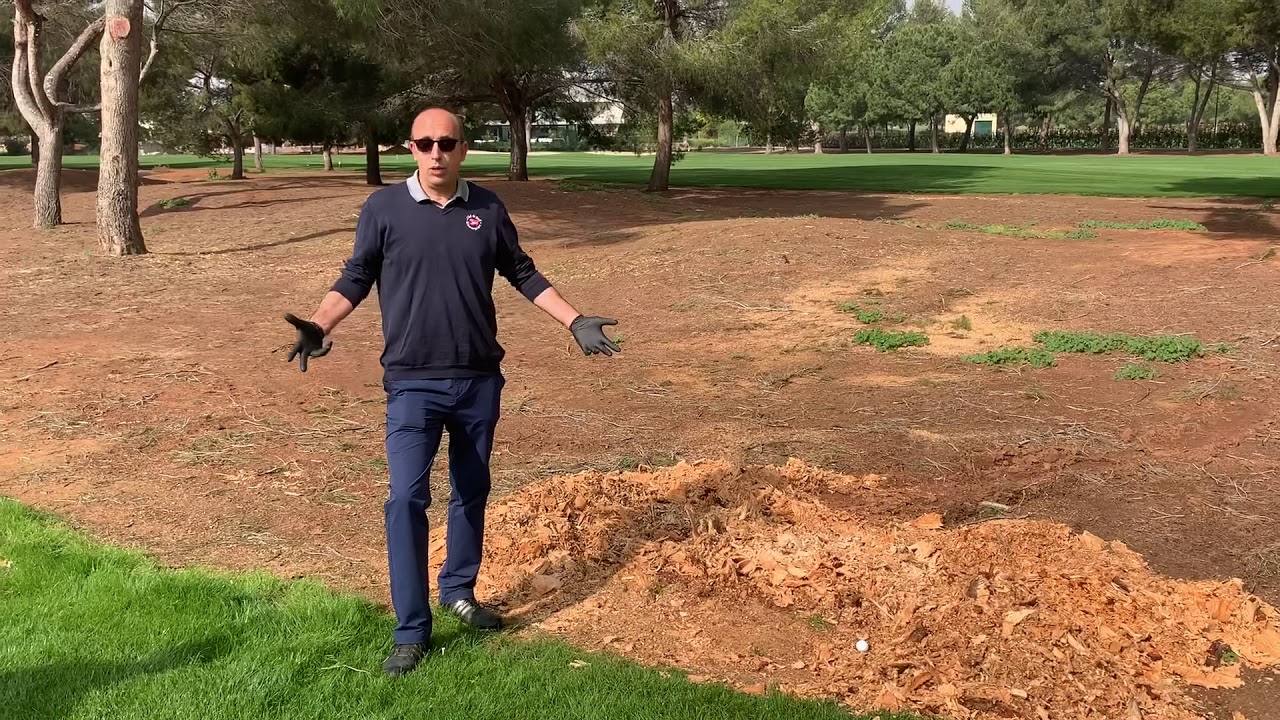 Reglas 26, jugar una segunda bola, en caso de dudas