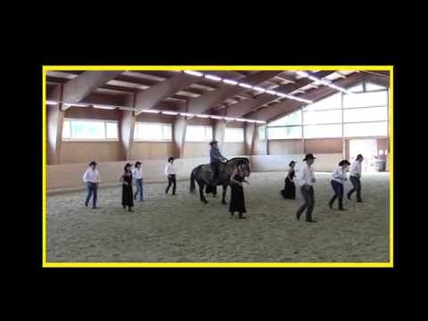 Tag der offenen Tür VetMed Uni Vienna 24.Mai 2014 der Wesco-Liners mit Pferd