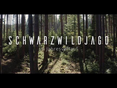Schwarzwildjagd im Jahresverlauf - Neuzeitliche Betrachtungen zur Jagd