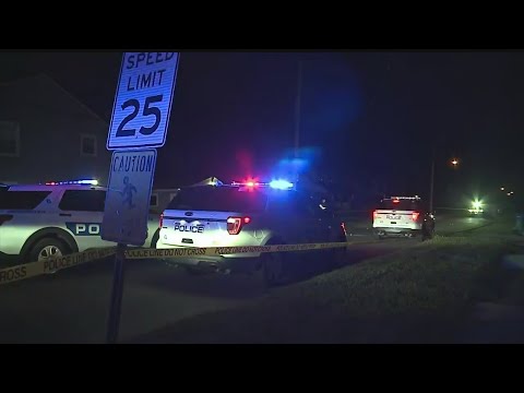 Fight over gun leads to shots fired at SUV: Police