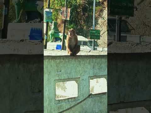 #youtubeshorts #youtube #tranding #viral