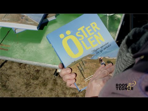 Österlen – utflykter, upplevelser och nya upptäckter