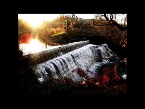 Mi Tierra Gallega - Tamara