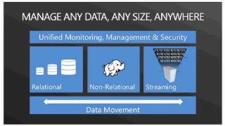 Big Data - Whats the Big Deal