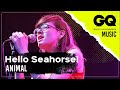 "Animal" por Hello Seahorse! para GQ Music