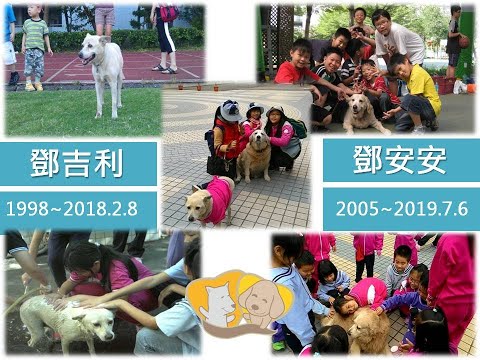 鄧公校犬天使 吉利與安安-新北市108年校園犬影片網路人氣票選活動