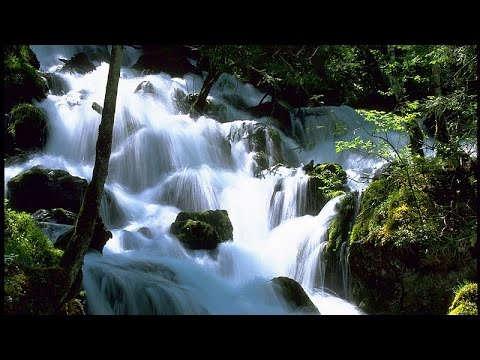 Wiener Wasser [Doku HD]