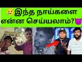 இந்த நாய்களை என்ன செய்யலாம் Vadakkan Isssue வட�