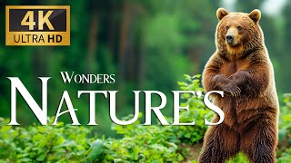 Wonders Natures 4K 🐾 Discovery Relaxation Wonde