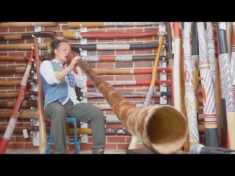 Agave Gary Dillo Didgeridoo in the key of C(5244)