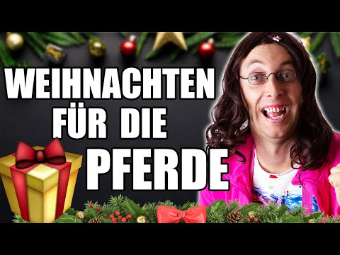 Mareike feiert Weihnachten mit Moonlight🎄🐴| Freshtorge
