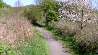 Pip and Bluebells + Sienna's 2nd Birthday