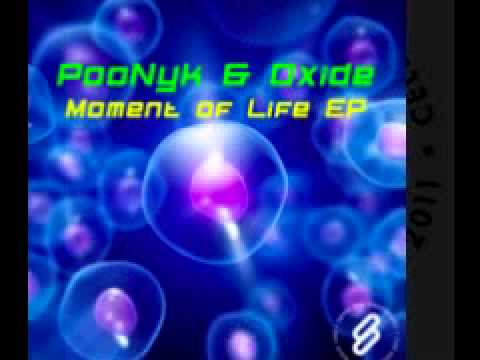 PooNyk & Oxide 'The Wanderer'