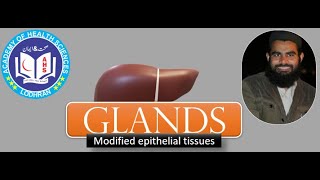 Download Lagu Glands-Modified Epithelial tissues | Histology | by Imran Yaseen Thumbnail