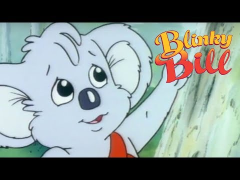 Blinky Bill - Episode 20 - Blinky Bill Finds Marcia Mouse