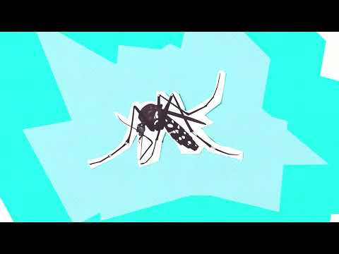 Video thumbnail for Malamocco