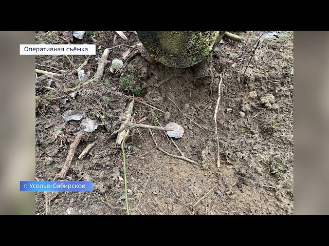 Торговца героином задержали в Усолье-Сибирском