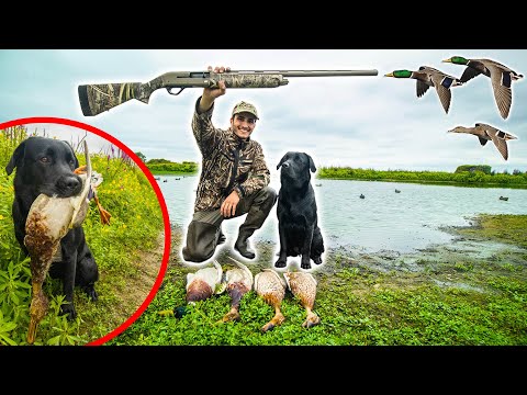 Ouverture de la Chasse avec Talia ! [Chasser-Cuisiner-Manger]