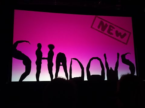 Moving Shadows bei der Blauen Nacht in Nürnberg