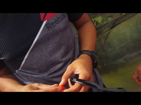 Bagares baguio 12++(2)