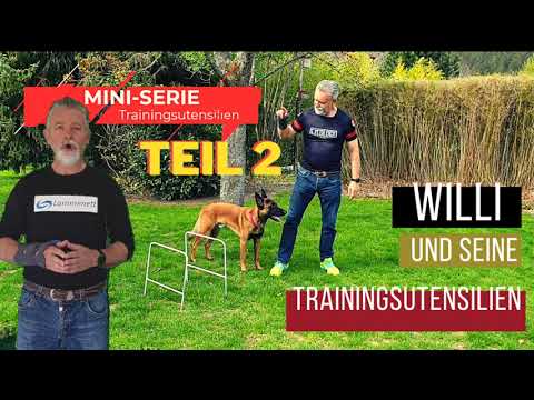 Training equipment - beam - command FORWARD (and sit)