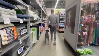 Video 4 trigger image
