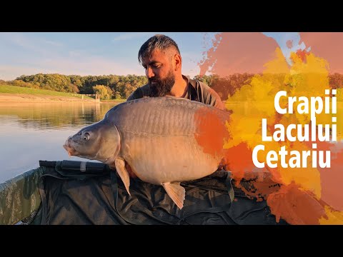 Episodul 9 - Partida Vietii Lacul Cetariu Octombrie 2022 Patru Over 20 4K