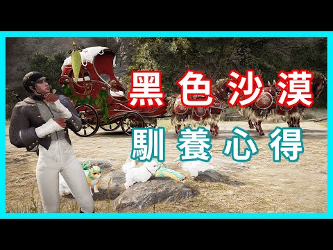皇室馴養出貨單