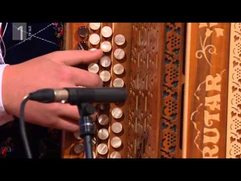 Gašper Cestnik - Mali velikani (Slovenski pozdrav, 21.11.)