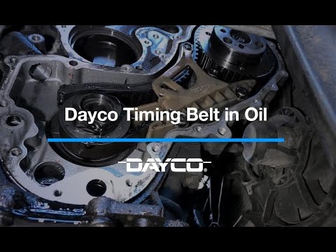 Dayco Timing Belt in Oil