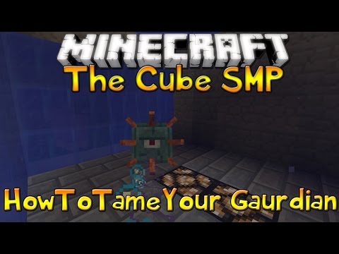 The Cube SMP - Episode 48 - How to Tame Your Guardian.