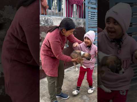 Puppy ne Sanu ko draya? 😂🐶