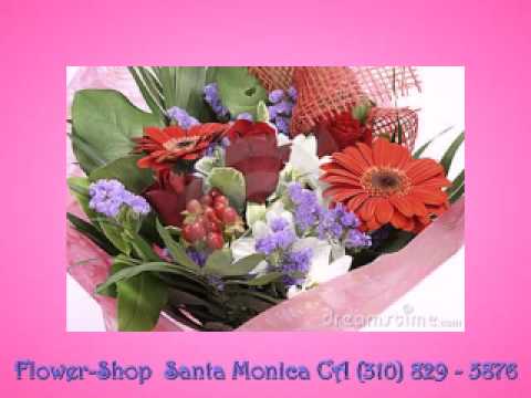 download lagu mp3 mp4 Flower Shop Santa Monica, download lagu Flower Shop Santa Monica gratis, unduh video klip Flower Shop Santa Monica